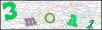 Afbeeldingsverificatie