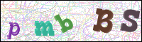 Afbeeldingsverificatie
