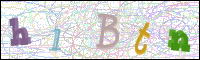 Afbeeldingsverificatie