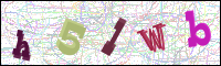 Afbeeldingsverificatie