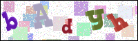 Afbeeldingsverificatie