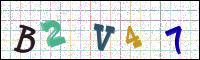 Afbeeldingsverificatie
