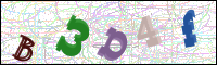 Afbeeldingsverificatie