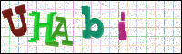 Afbeeldingsverificatie