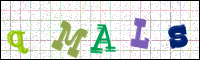 Afbeeldingsverificatie